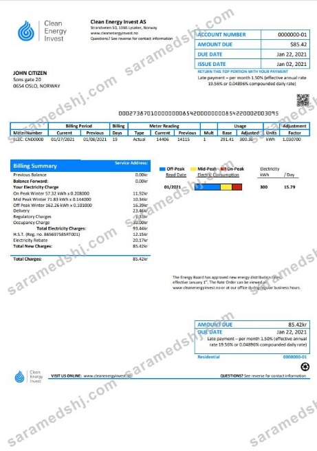 Norway Clean Energy Invest AS utility bill template in Word and PDF format, good for address prove